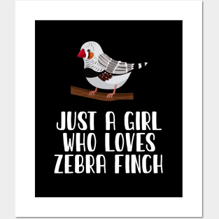 Just A Girl Who Loves Zebra Finch Posters and Art